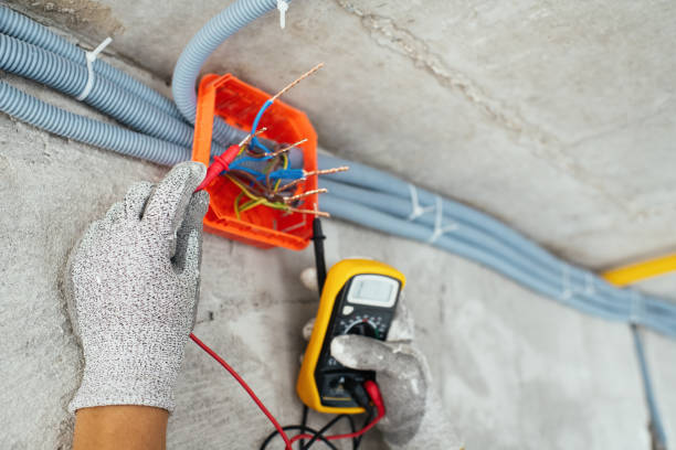 Best Residential Electrician Services  in Ellisburg, NJ